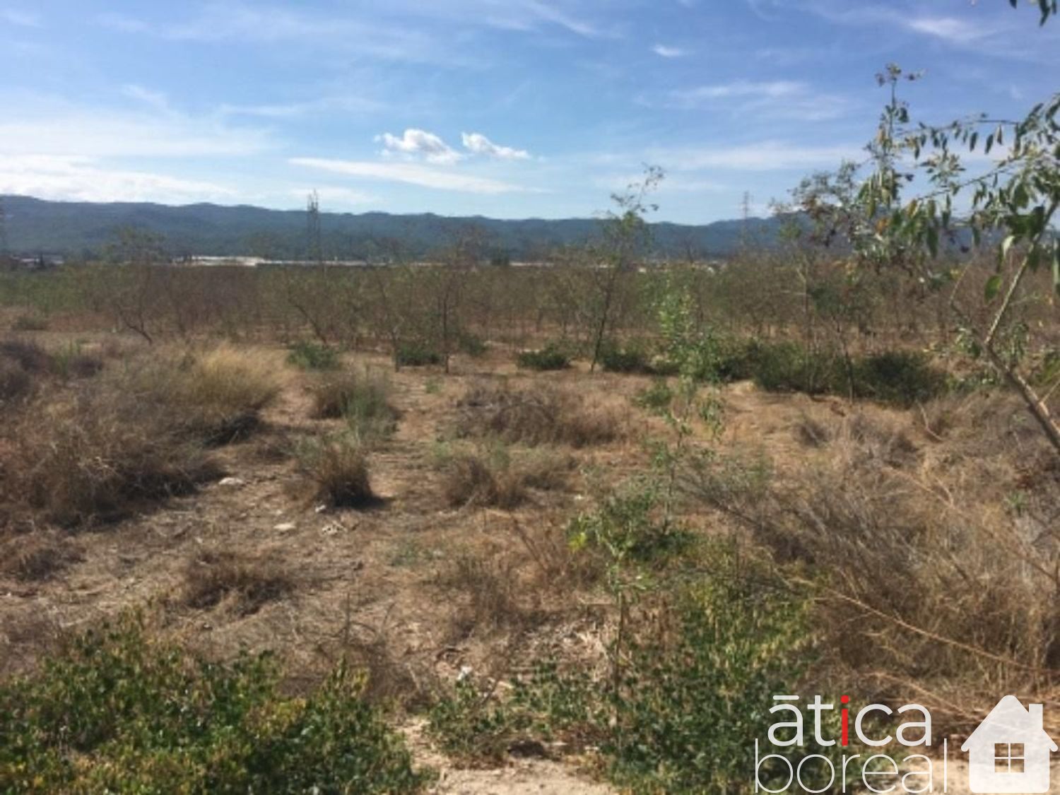 Venta de terreno en Murcia