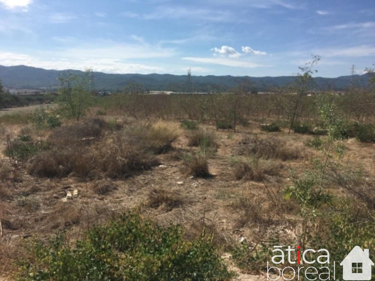 Venta de terreno en Murcia