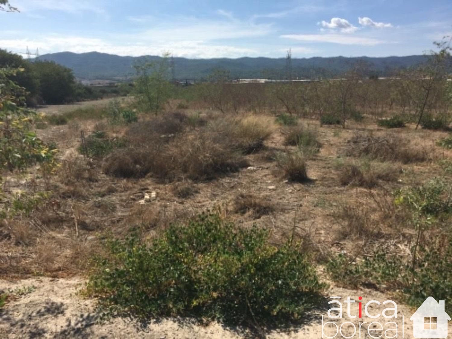 Venta de terreno en Murcia