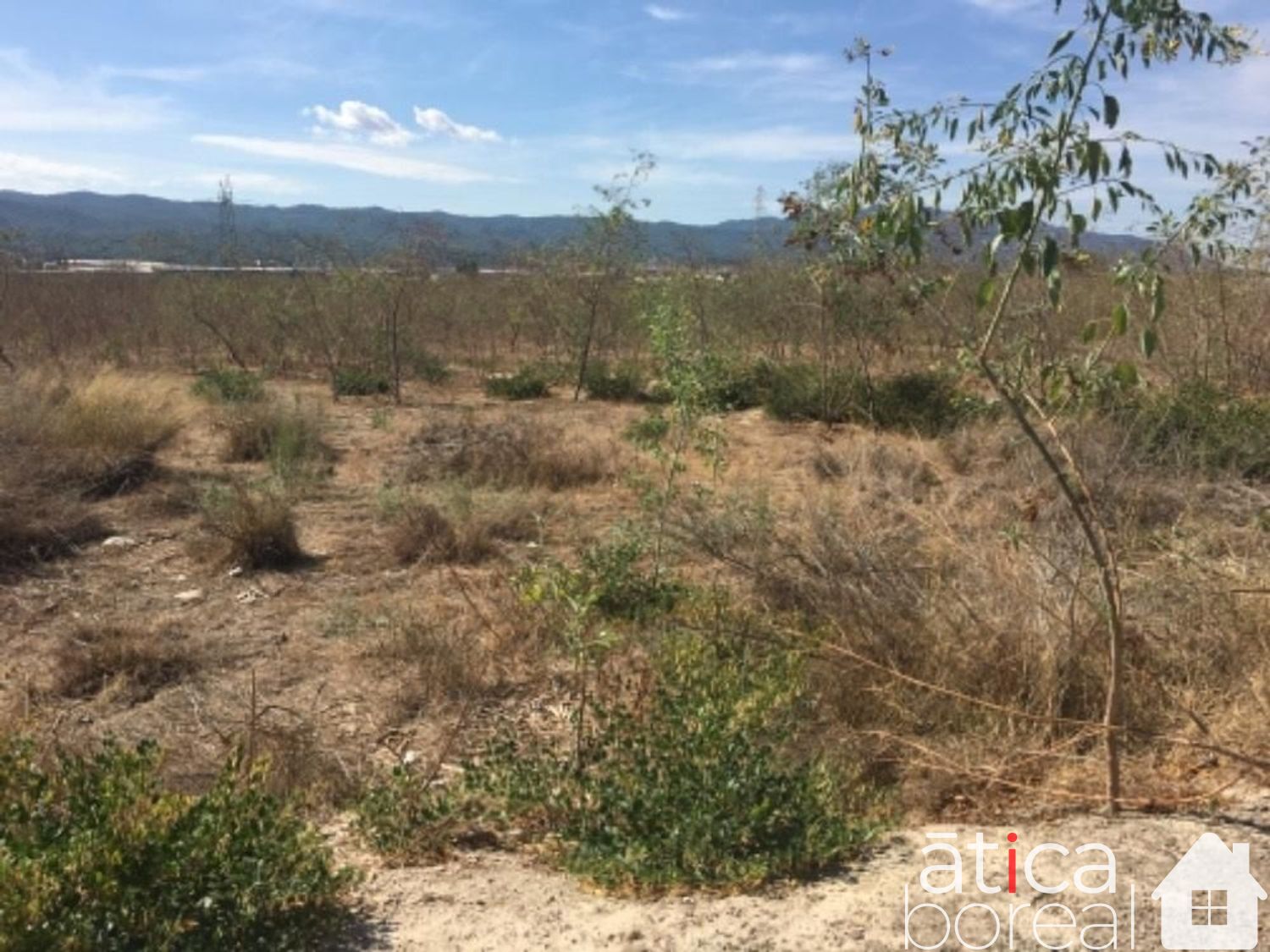 Venta de terreno en Murcia