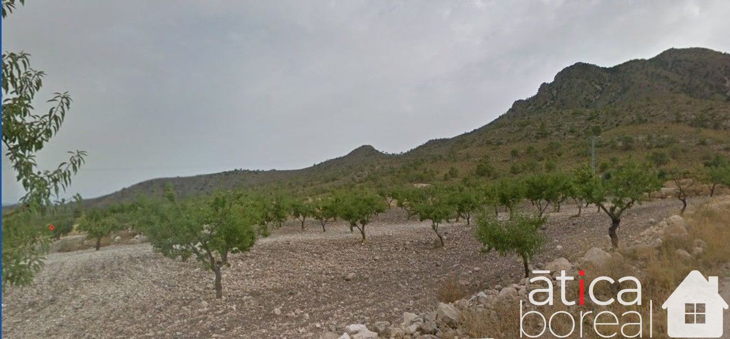 Venta de terreno en Fuente-Álamo