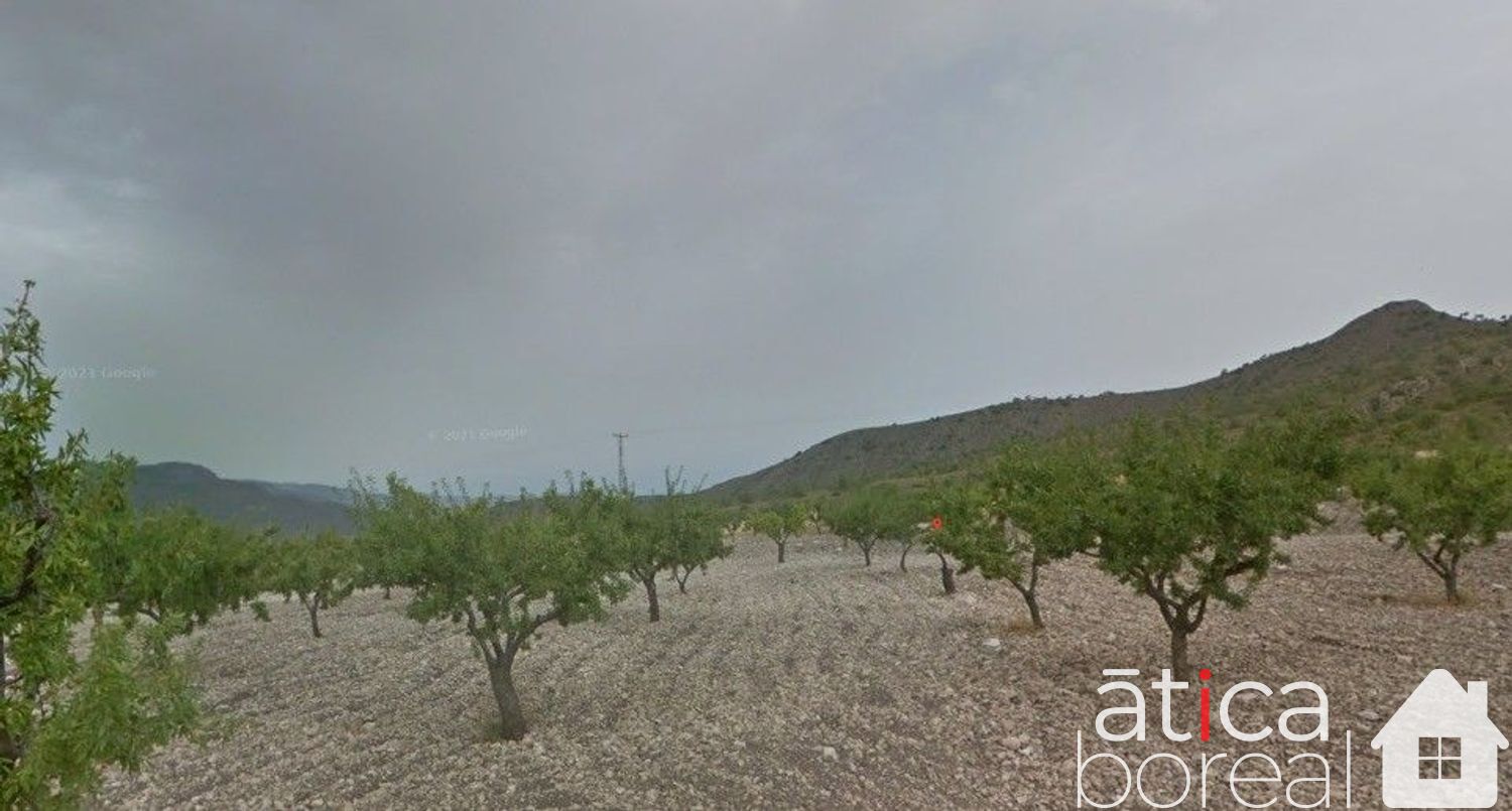 Venta de terreno en Fuente-Álamo