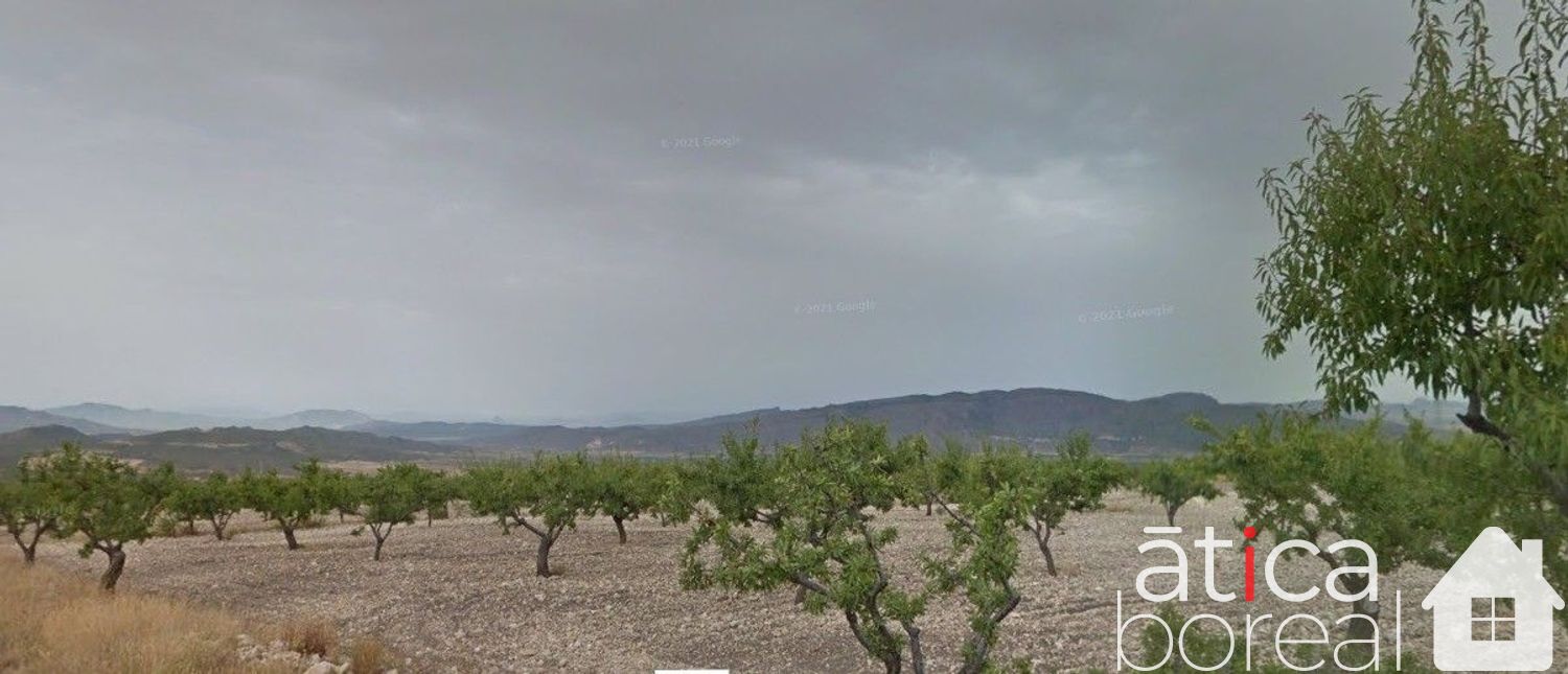 Venta de terreno en Fuente-Álamo