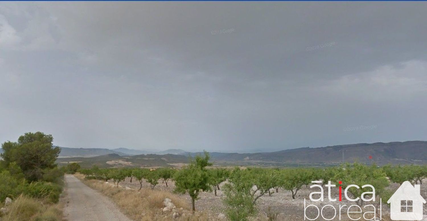 Venta de terreno en Fuente-Álamo