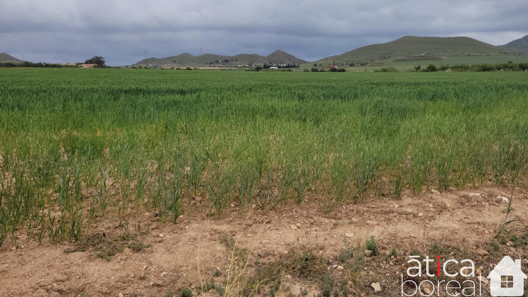 Venta de finca rústica en Cartagena