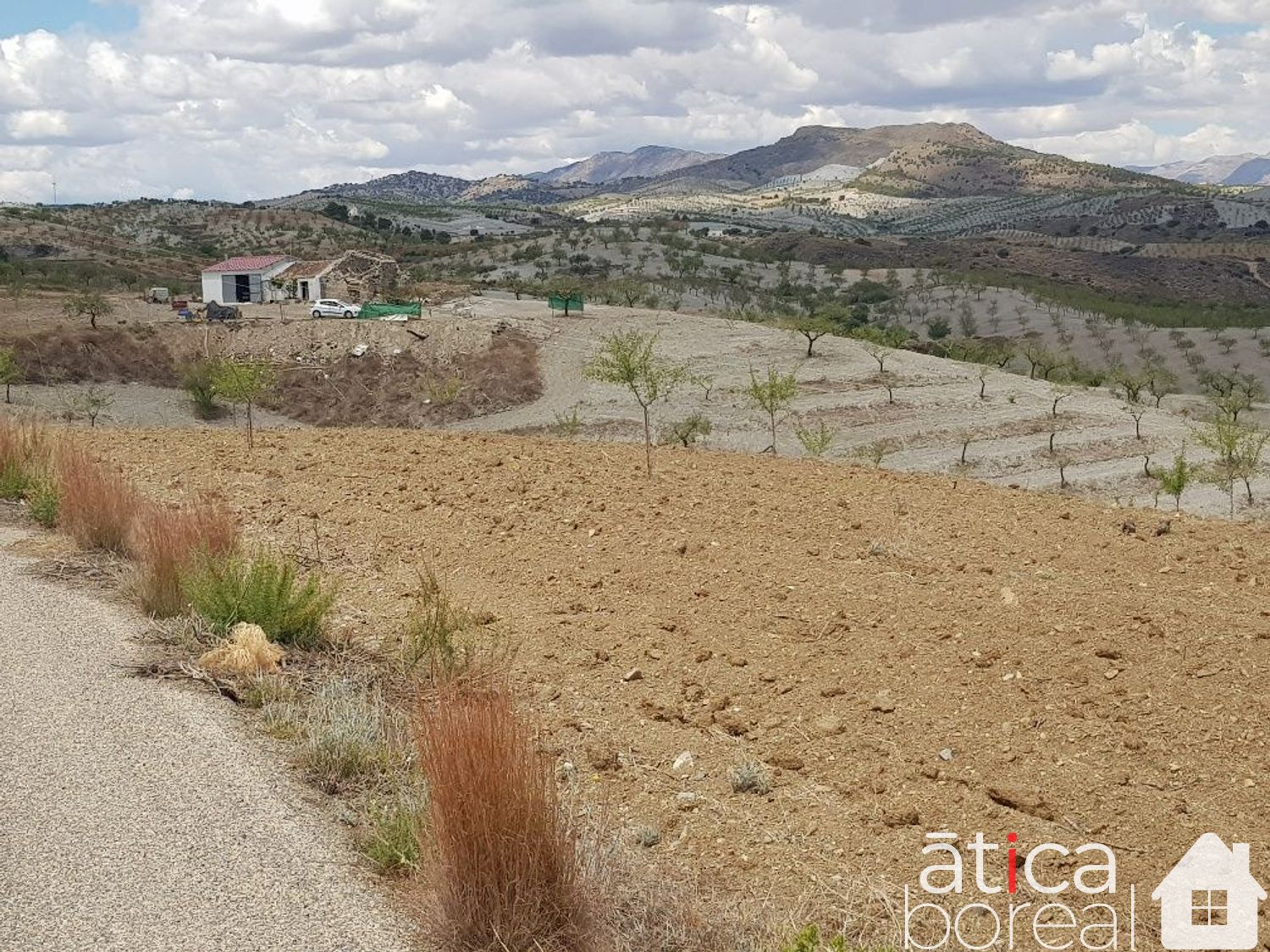 Venta de finca rústica en Lorca