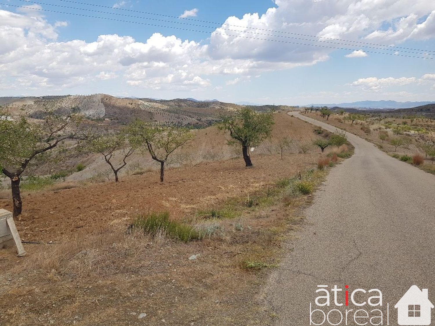 Venta de finca rústica en Lorca