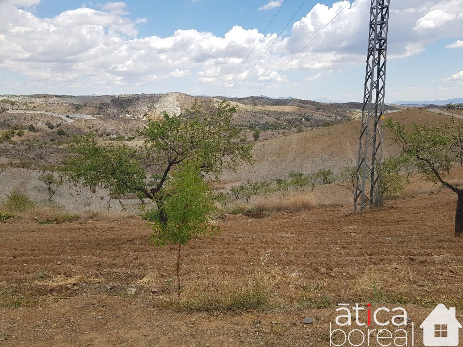 Venta de finca rústica en Lorca