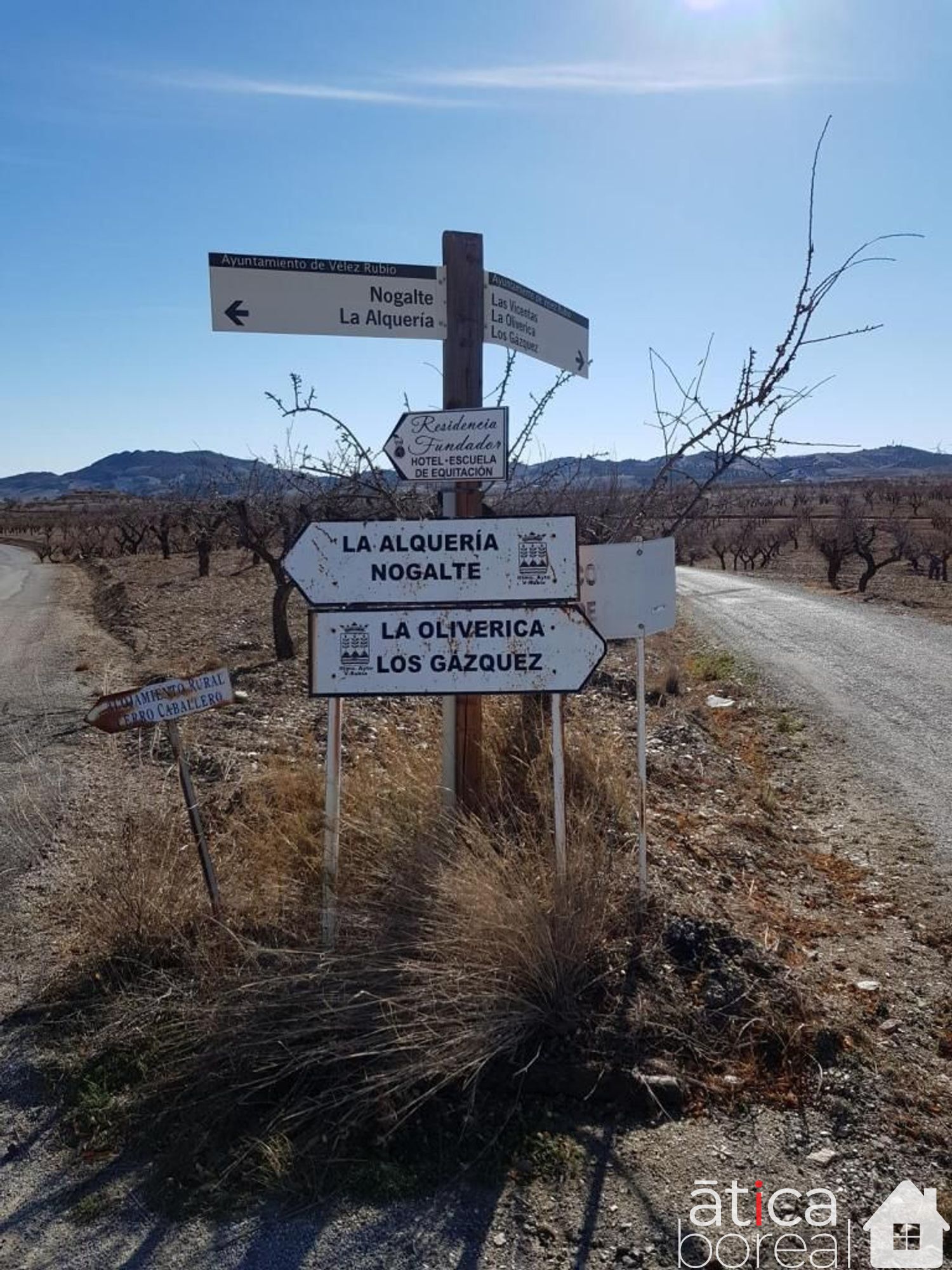 Venta de finca rústica en Lorca