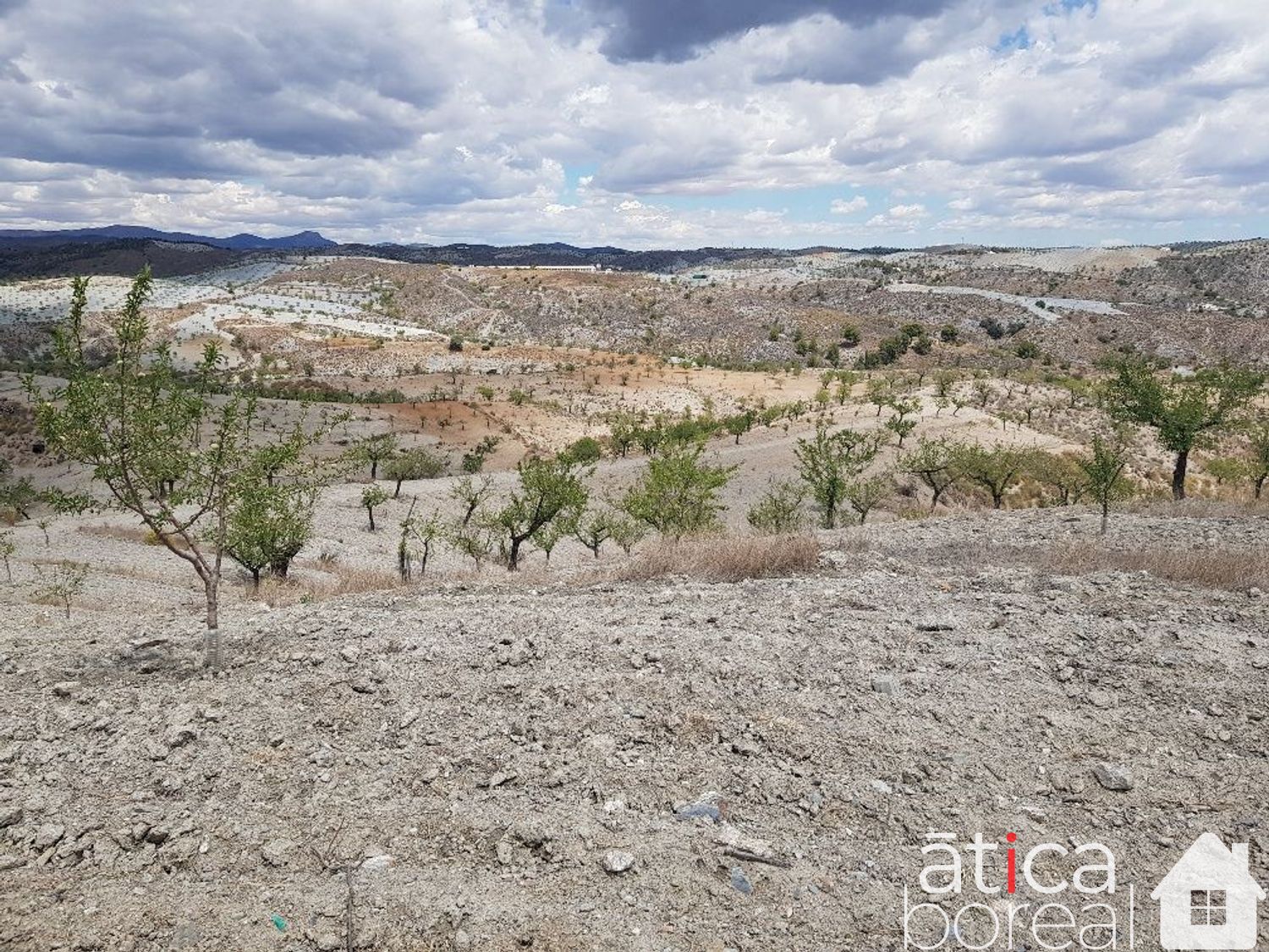 Venta de finca rústica en Lorca