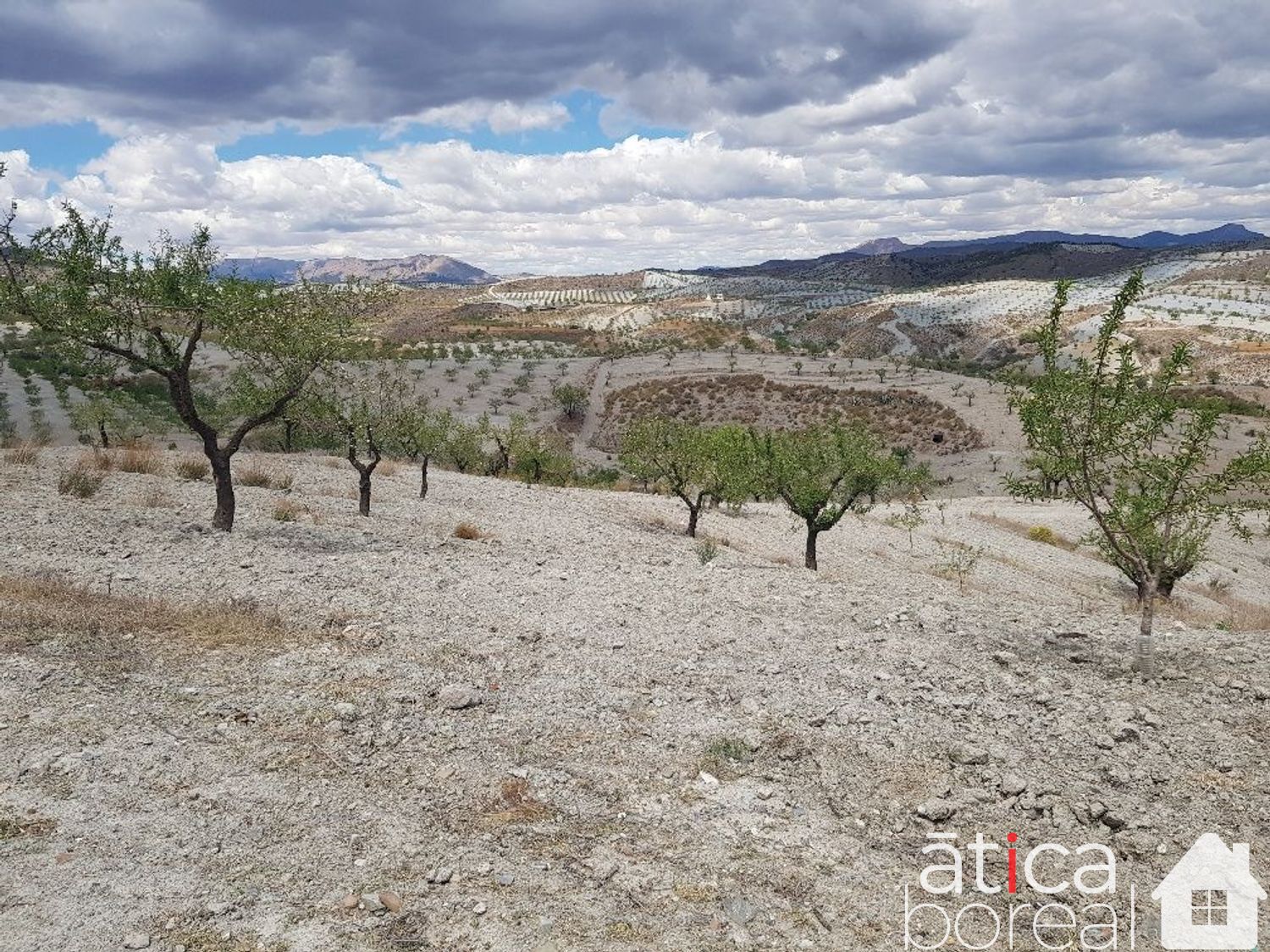 Venta de finca rústica en Lorca