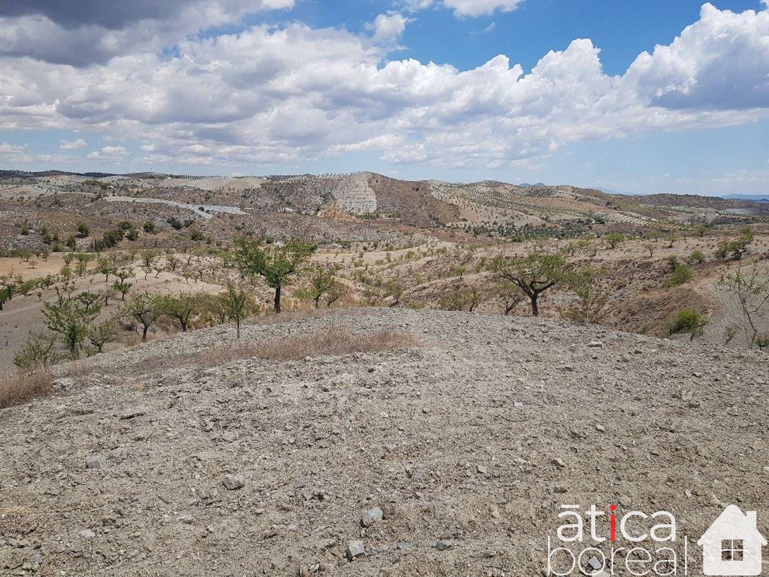 Venta de finca rústica en Lorca