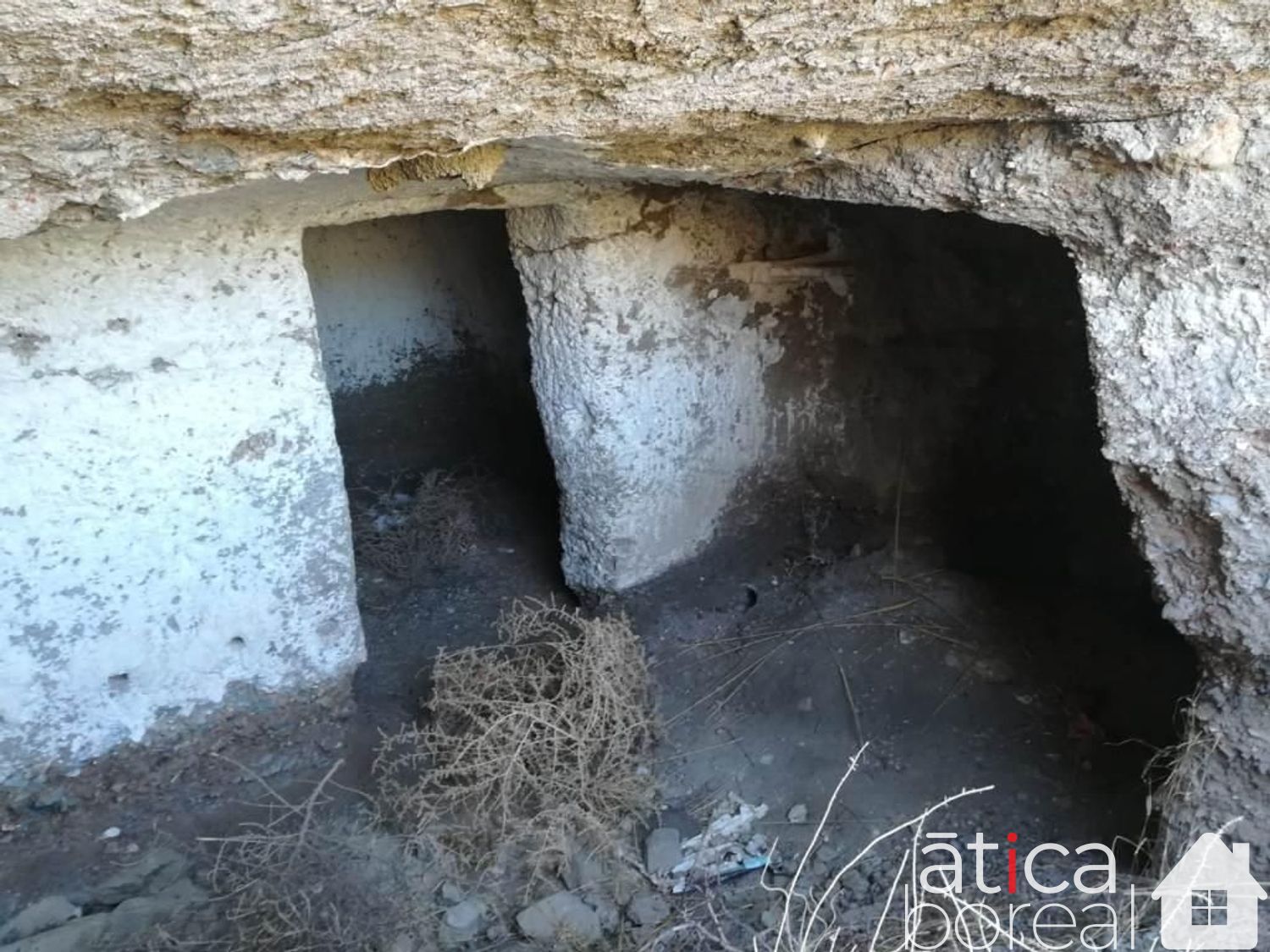 Venta de finca rústica en Lorca