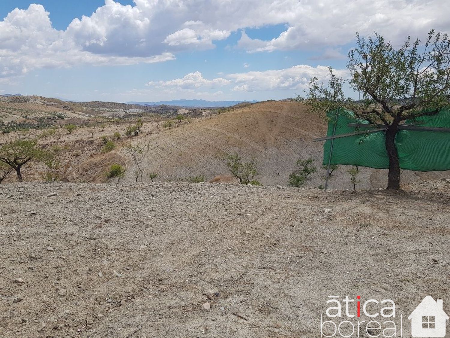 Venta de finca rústica en Lorca