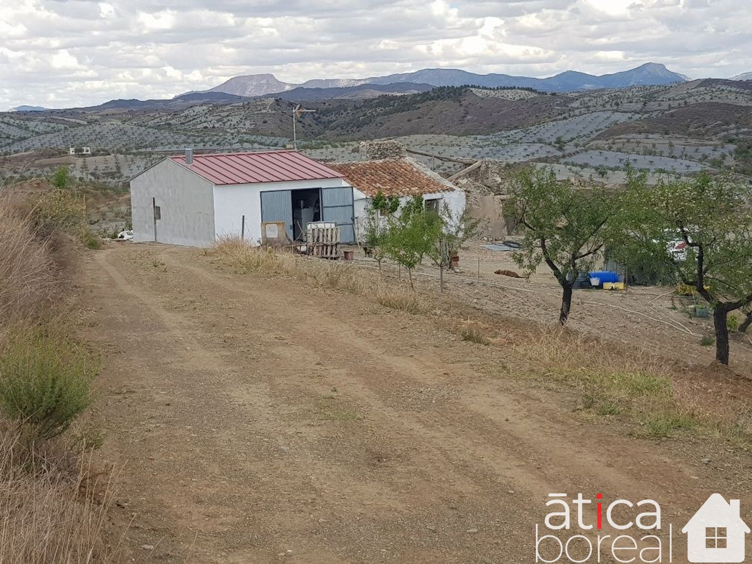 Venta de finca rústica en Lorca