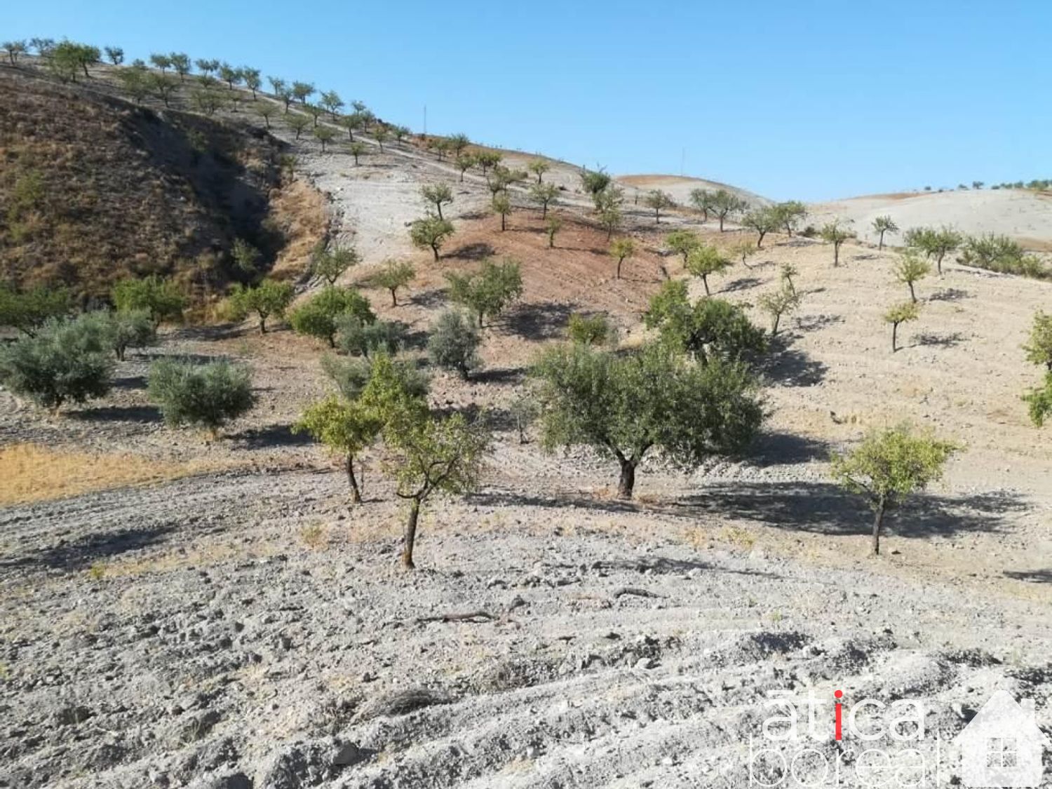 Venta de finca rústica en Lorca