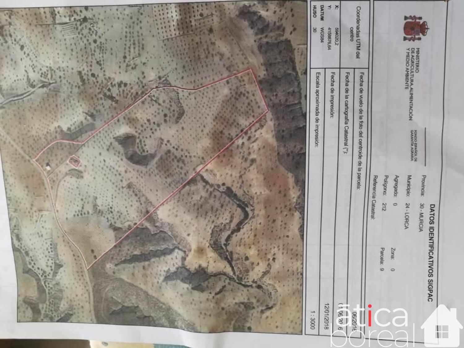 Venta de finca rústica en Lorca