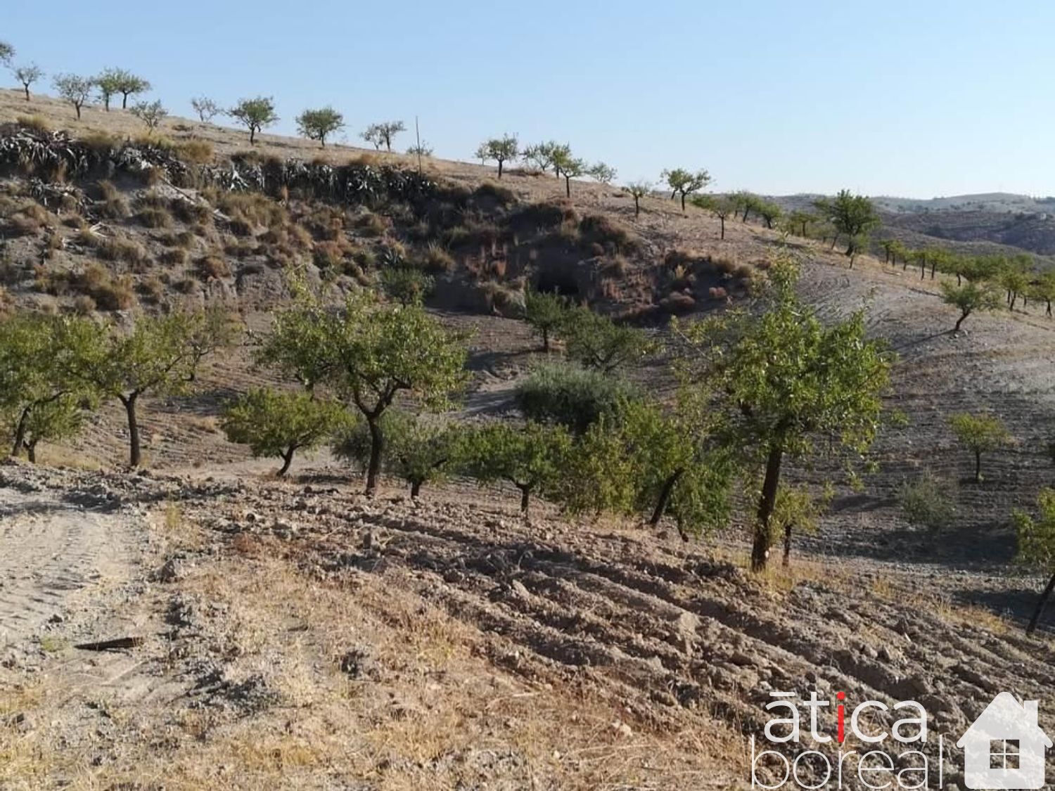 Venta de finca rústica en Lorca