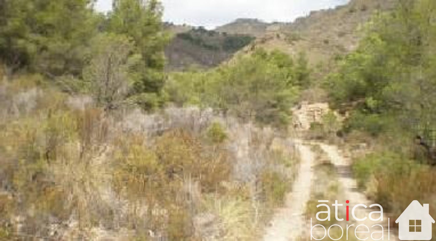 Venta de terreno en Fuente Álamo de Murcia