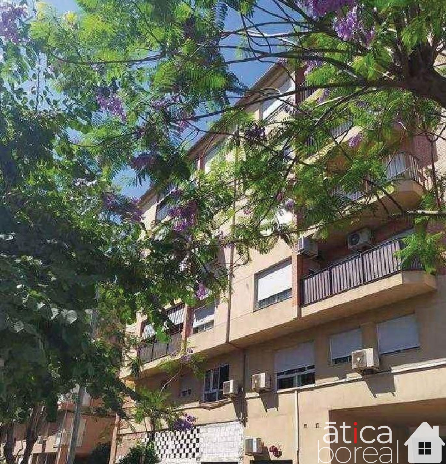 Venta de local en Alcantarilla