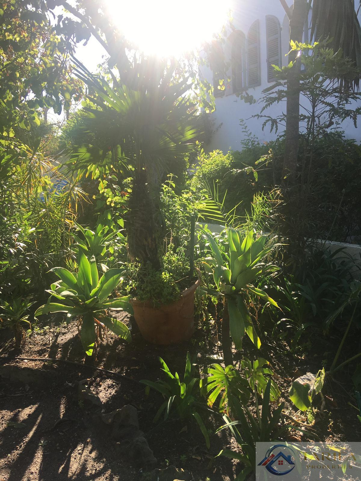 Venta de chalet en Algeciras