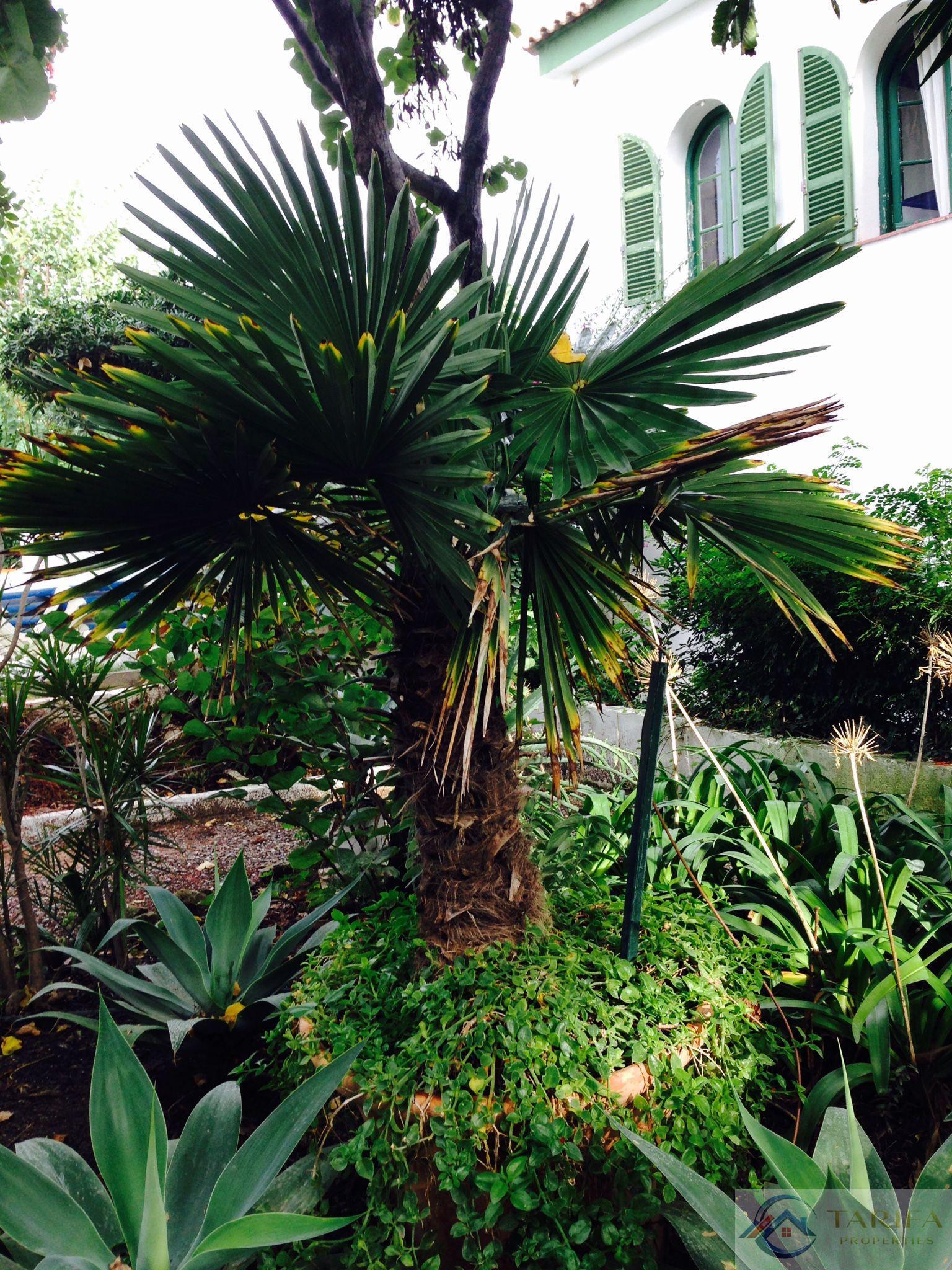 Venta de chalet en Algeciras