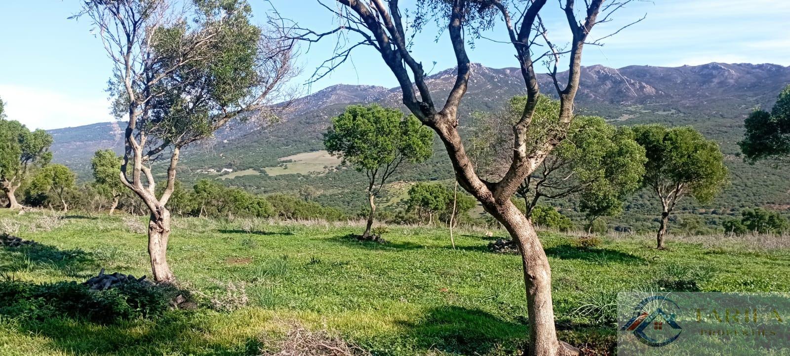 Venta de finca rústica en Tarifa