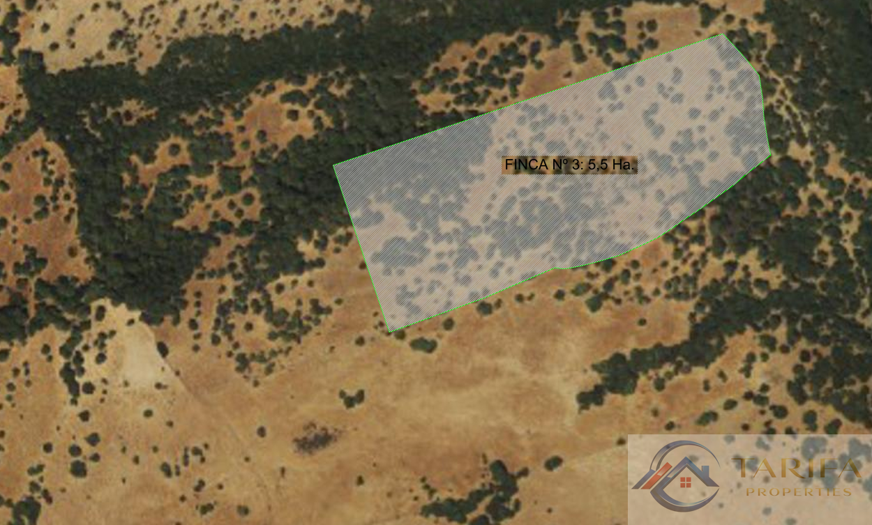 Venta de finca rústica en Tarifa