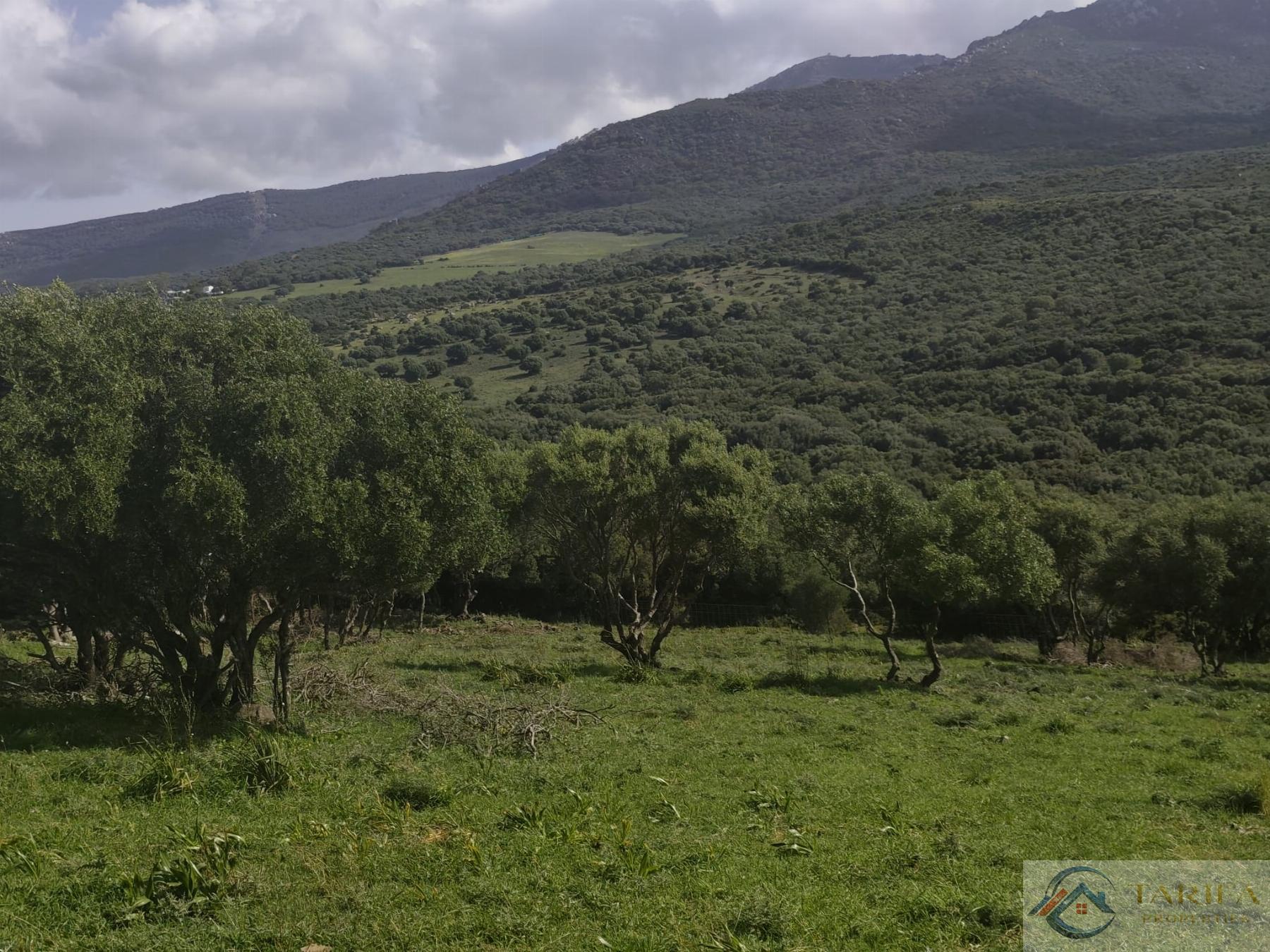 Venta de finca rústica en Tarifa