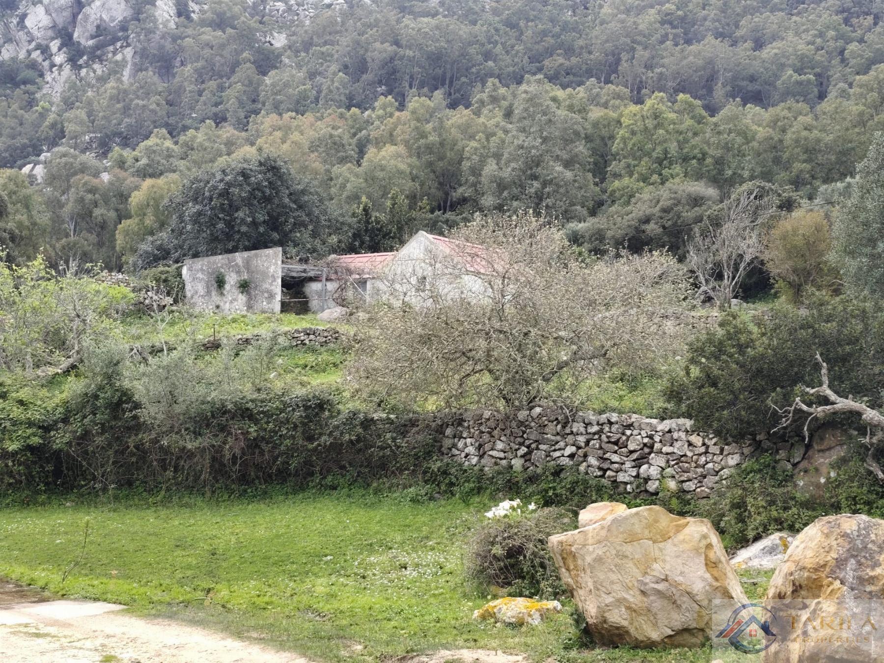 Venta de finca rústica en Tarifa