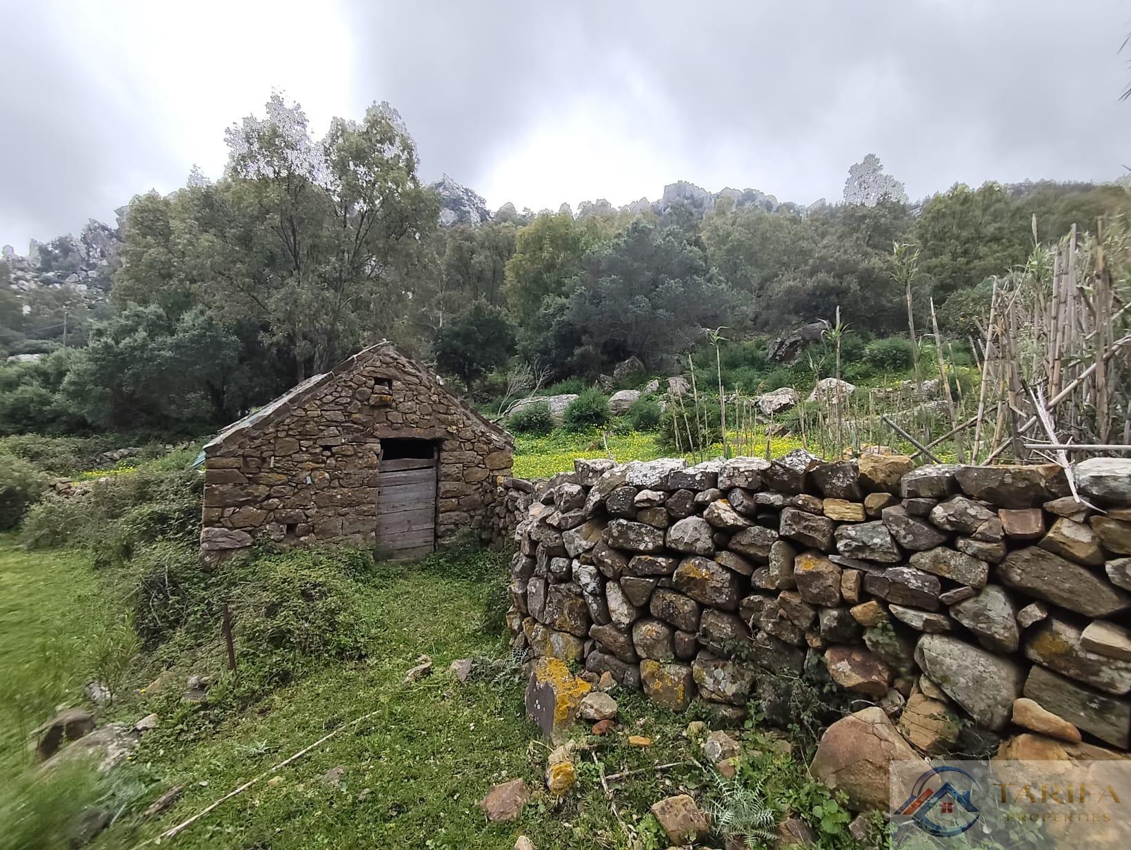 Venta de finca rústica en Tarifa