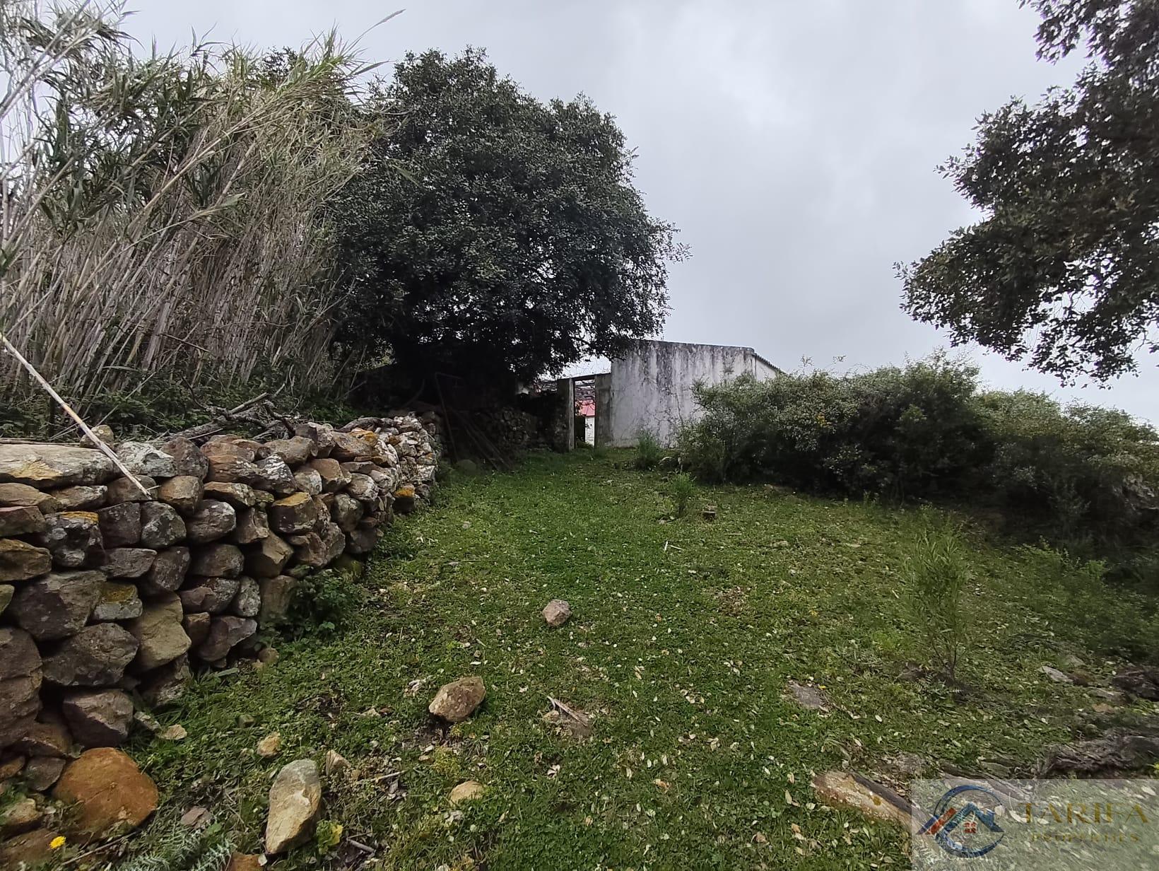 Venta de finca rústica en Tarifa