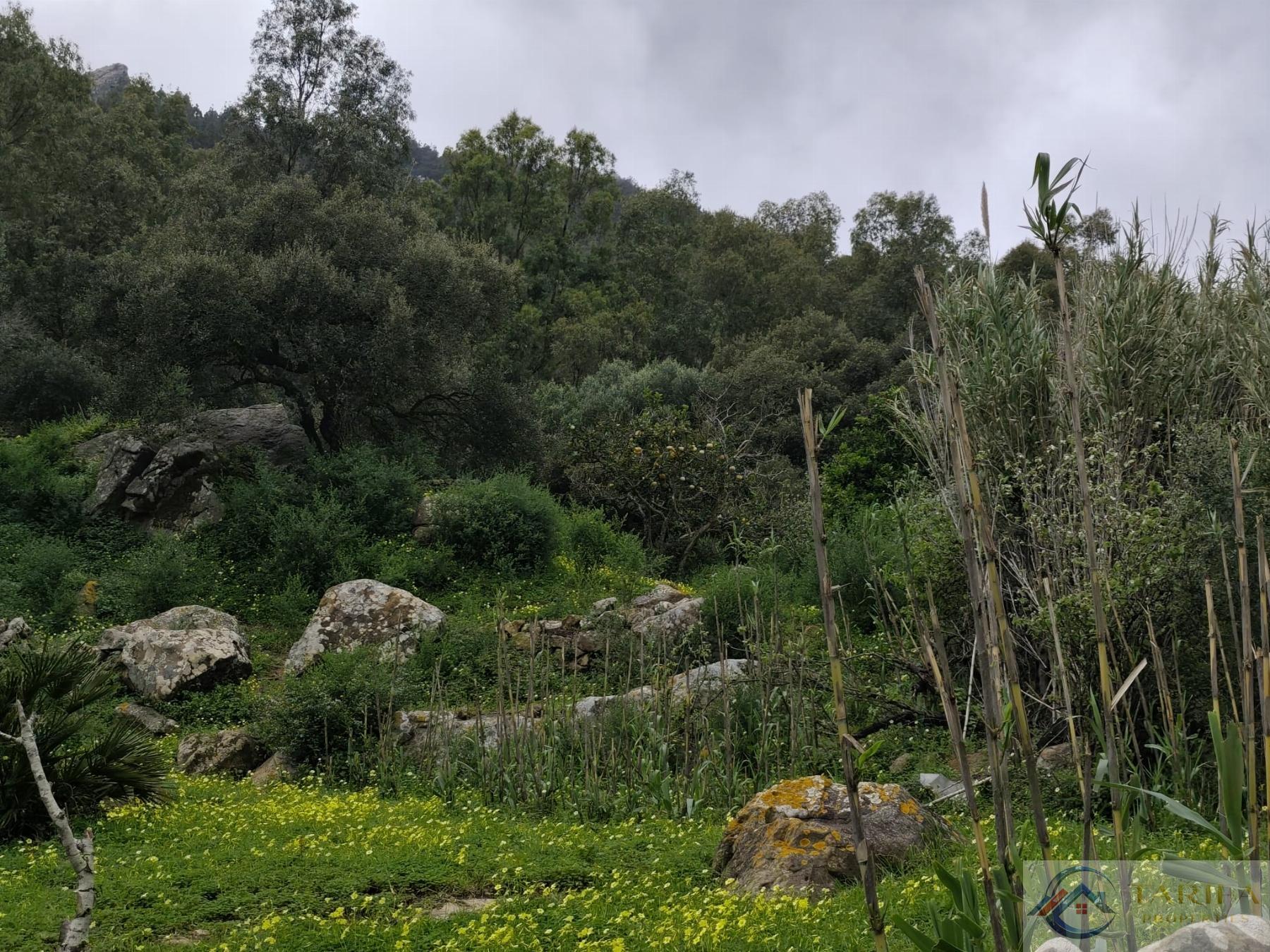 Venta de finca rústica en Tarifa