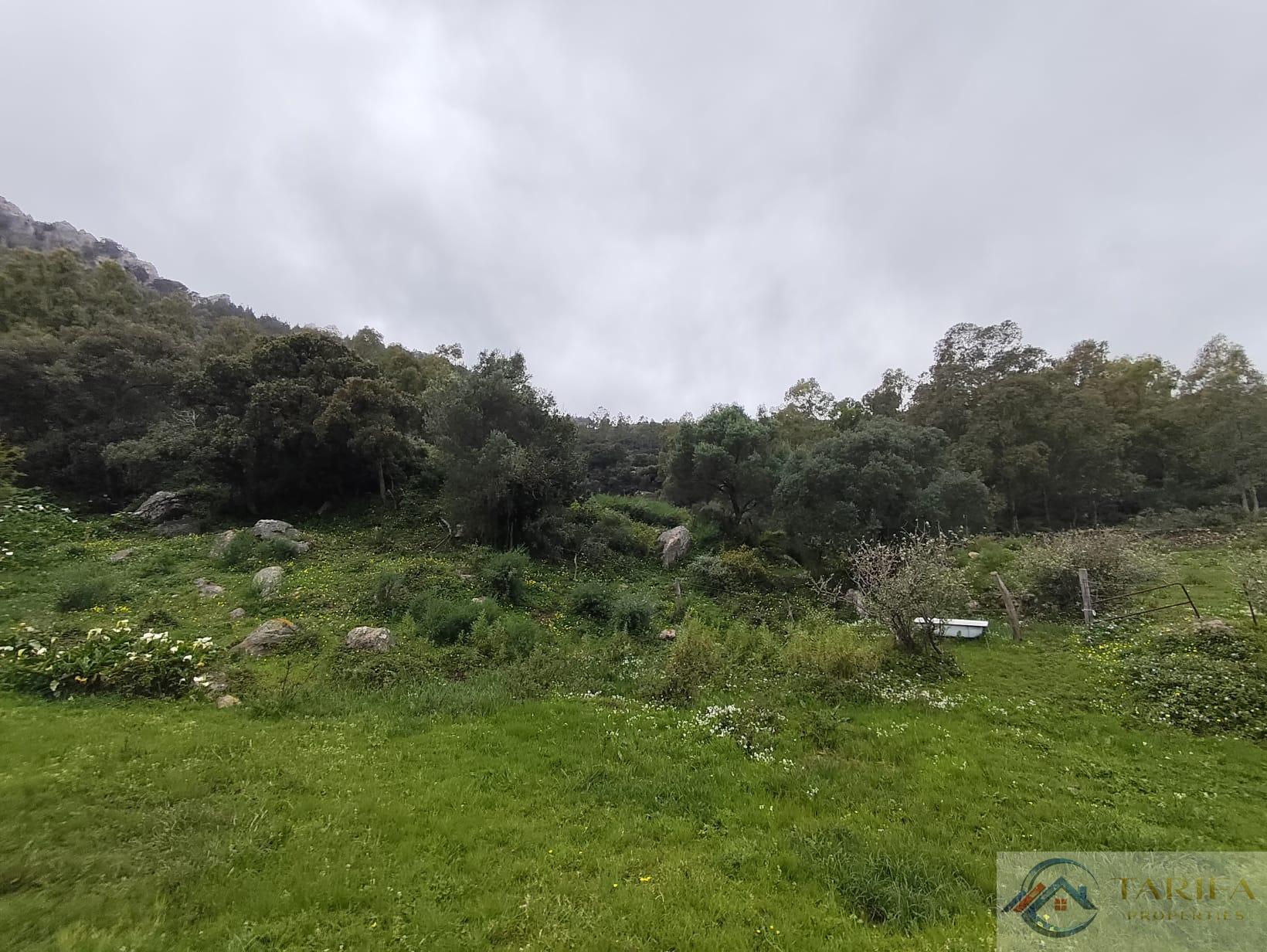 Venta de finca rústica en Tarifa