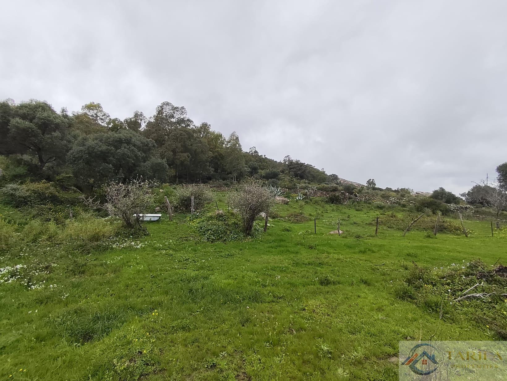Venta de finca rústica en Tarifa