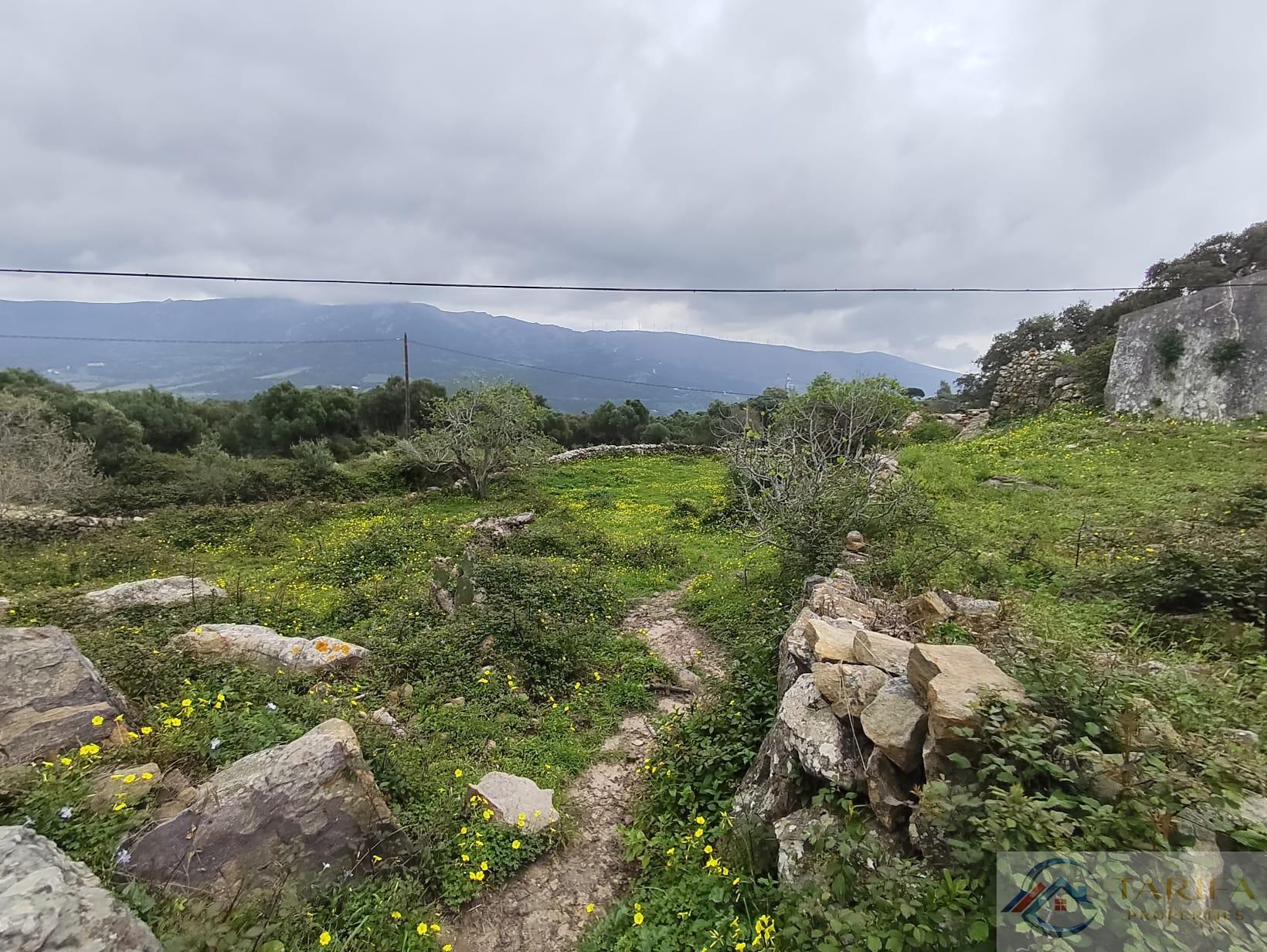 Venta de finca rústica en Tarifa