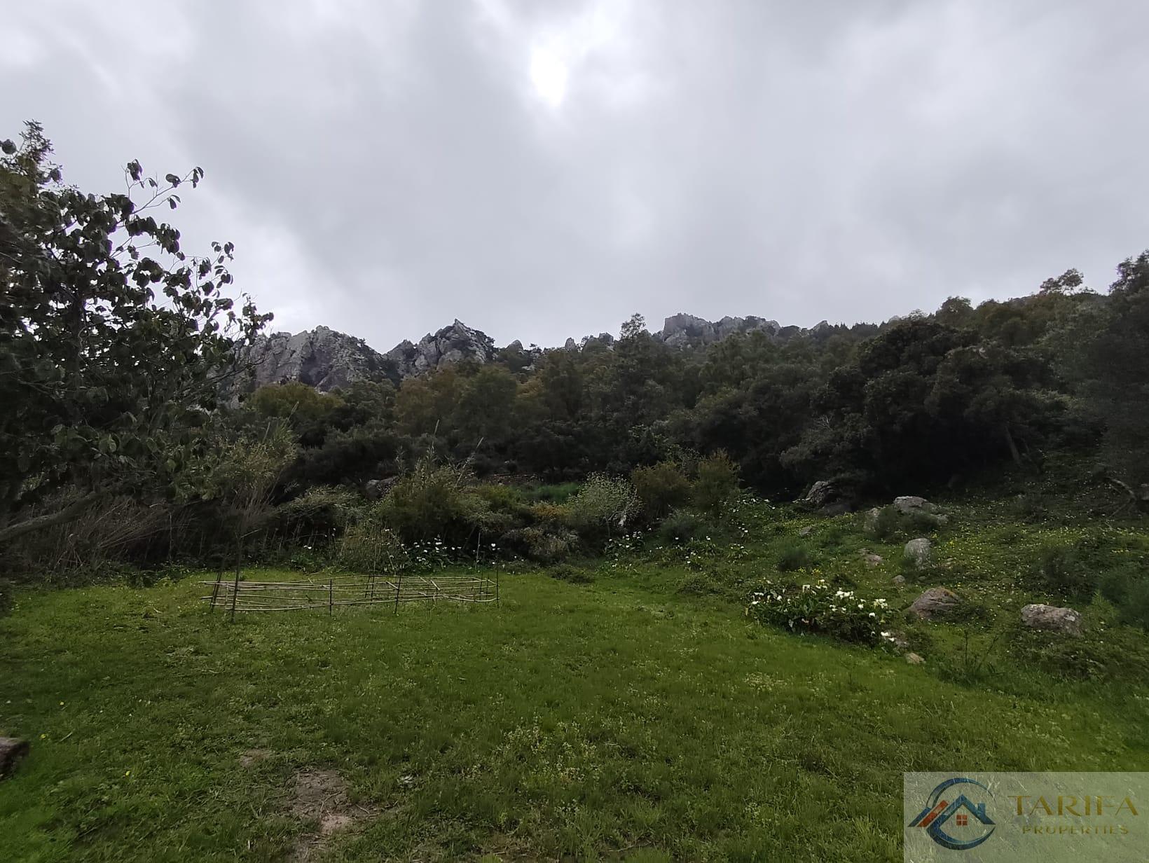 Venta de finca rústica en Tarifa