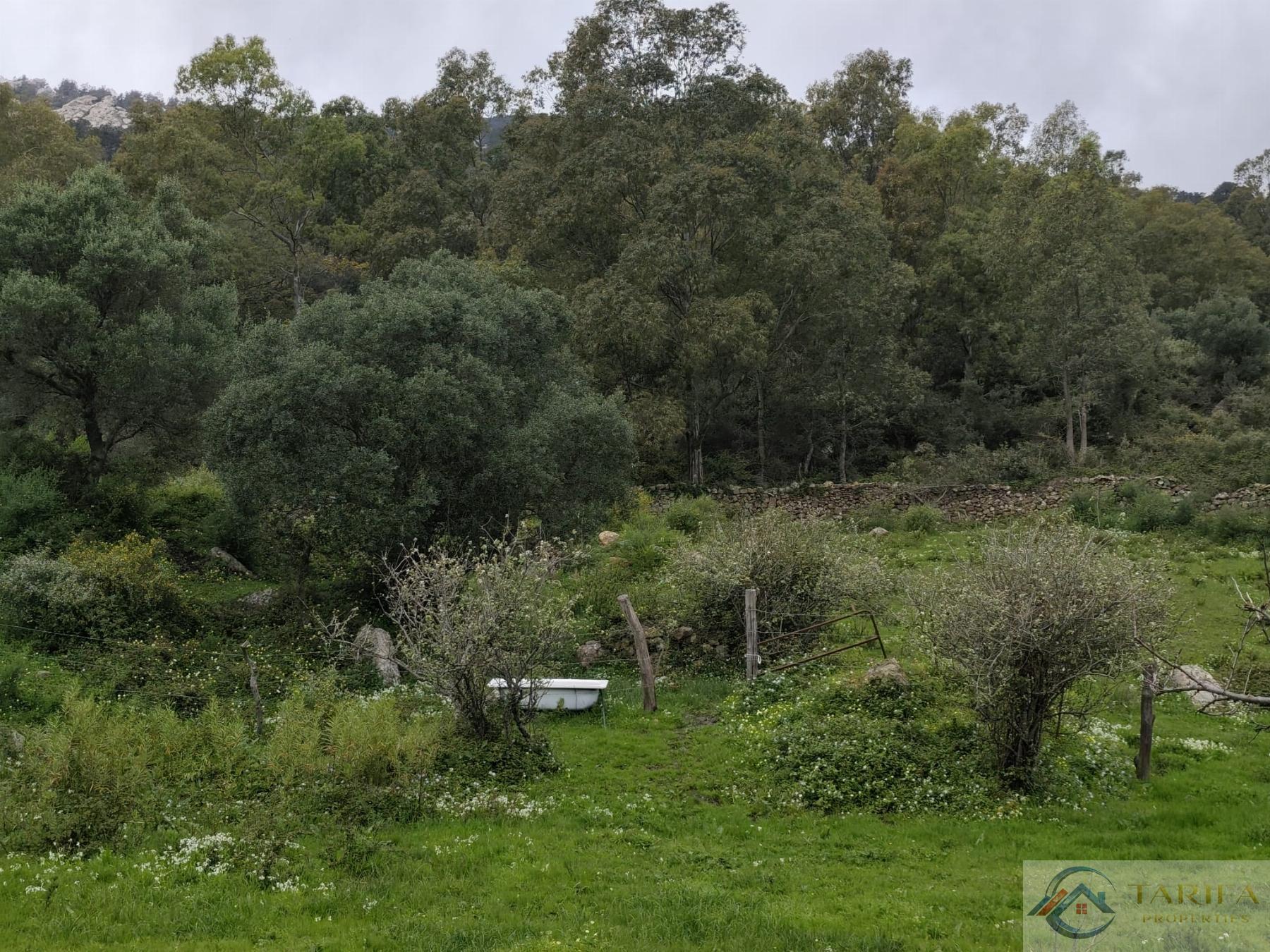 Venta de finca rústica en Tarifa