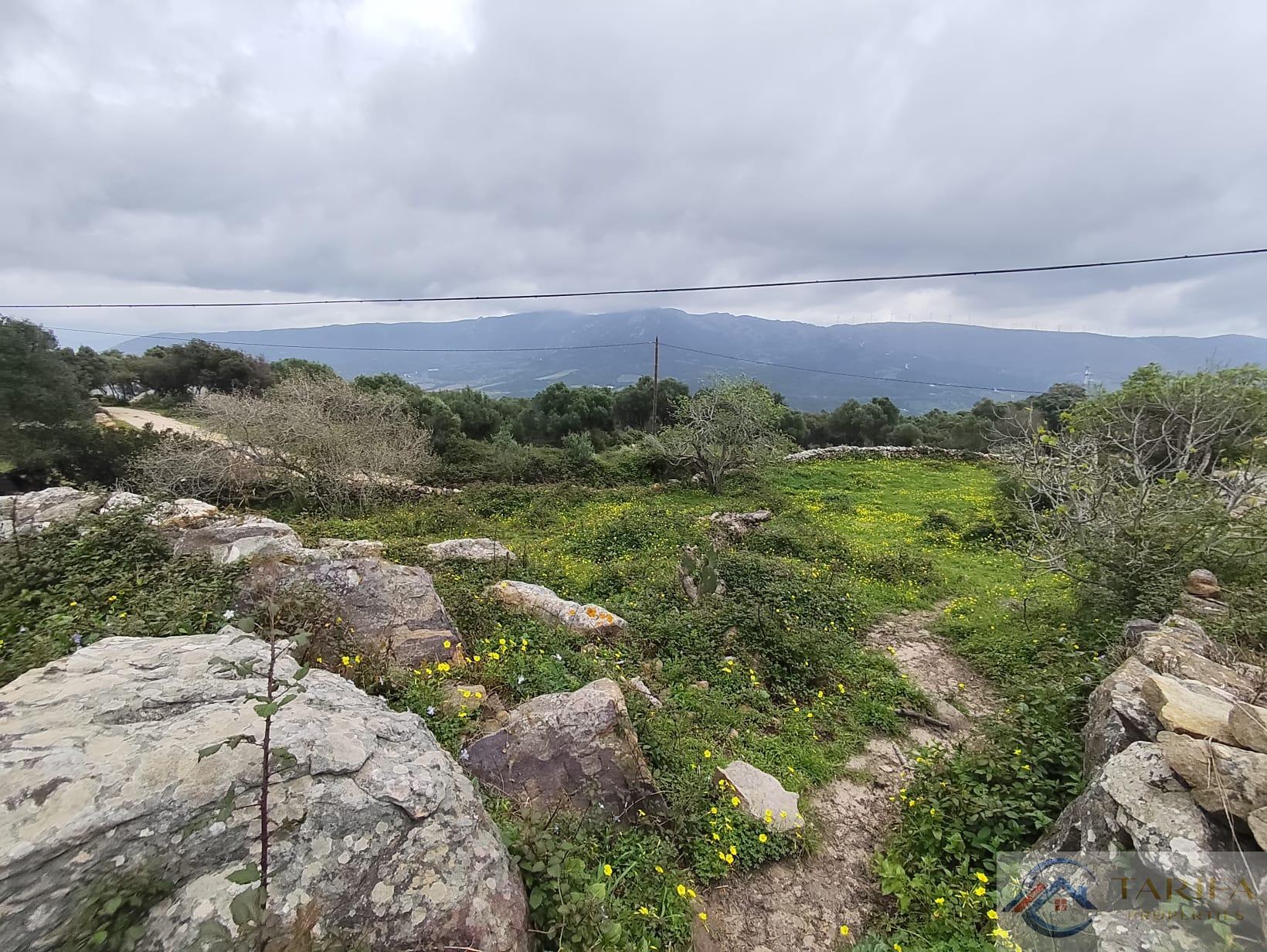 Venta de finca rústica en Tarifa