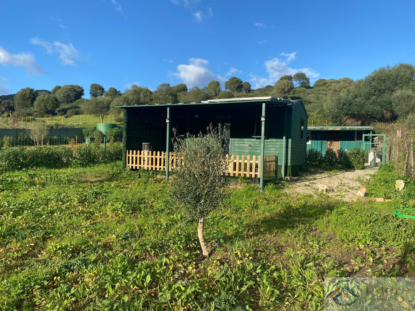 Venta de finca rústica en Tarifa