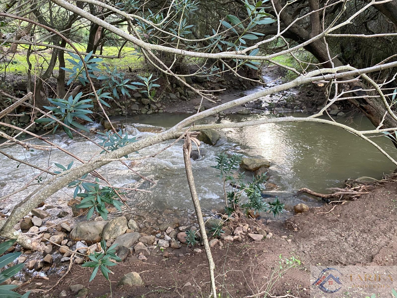 Venta de finca rústica en Tarifa