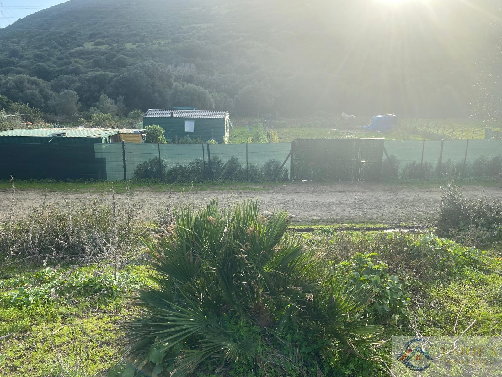 Venta de finca rústica en Tarifa