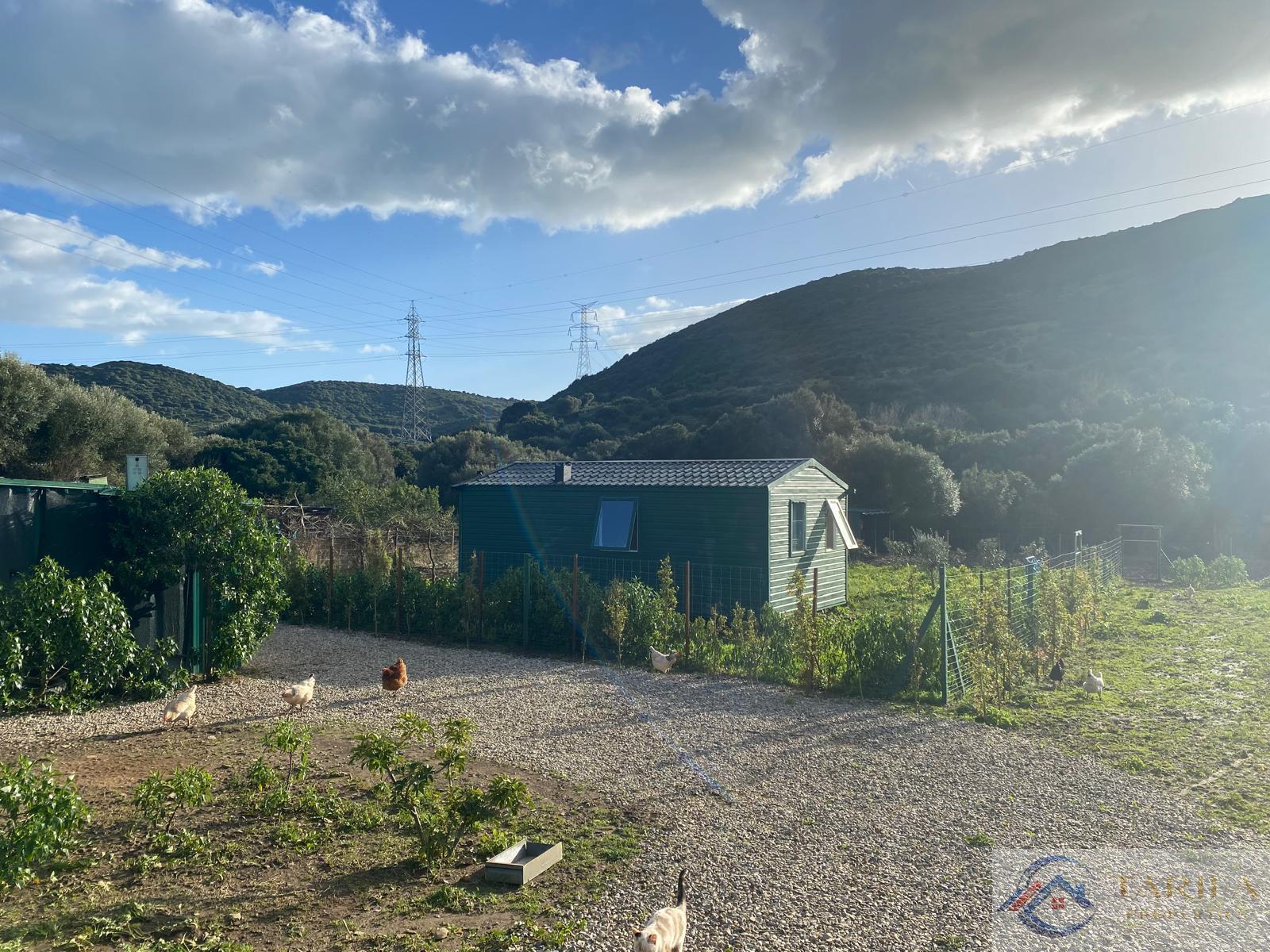 Venta de finca rústica en Tarifa