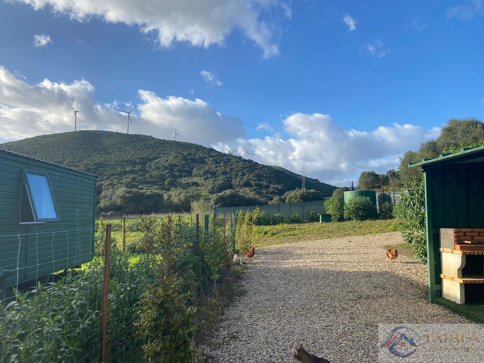 Venta de finca rústica en Tarifa