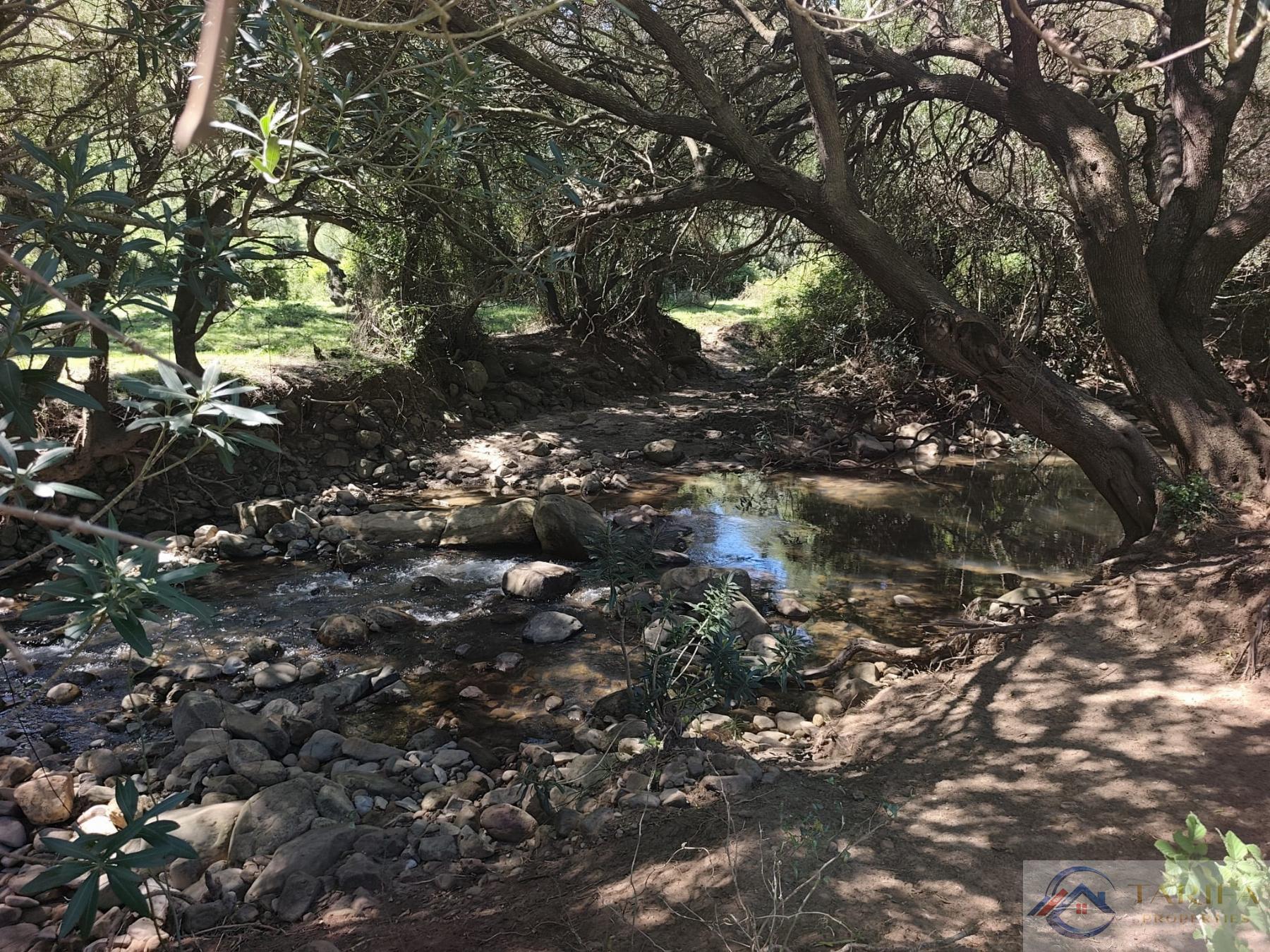 Venta de finca rústica en Tarifa