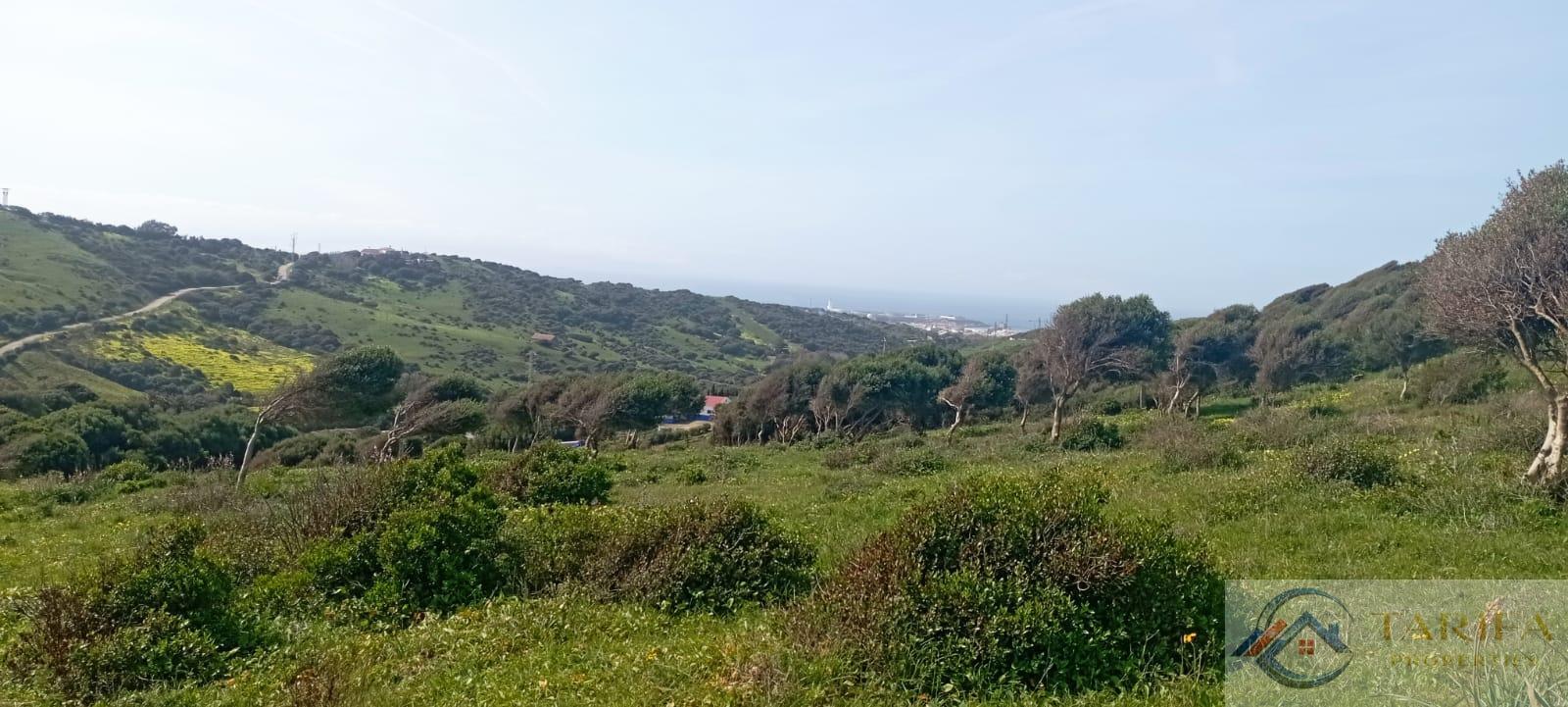 Venta de finca rústica en Tarifa