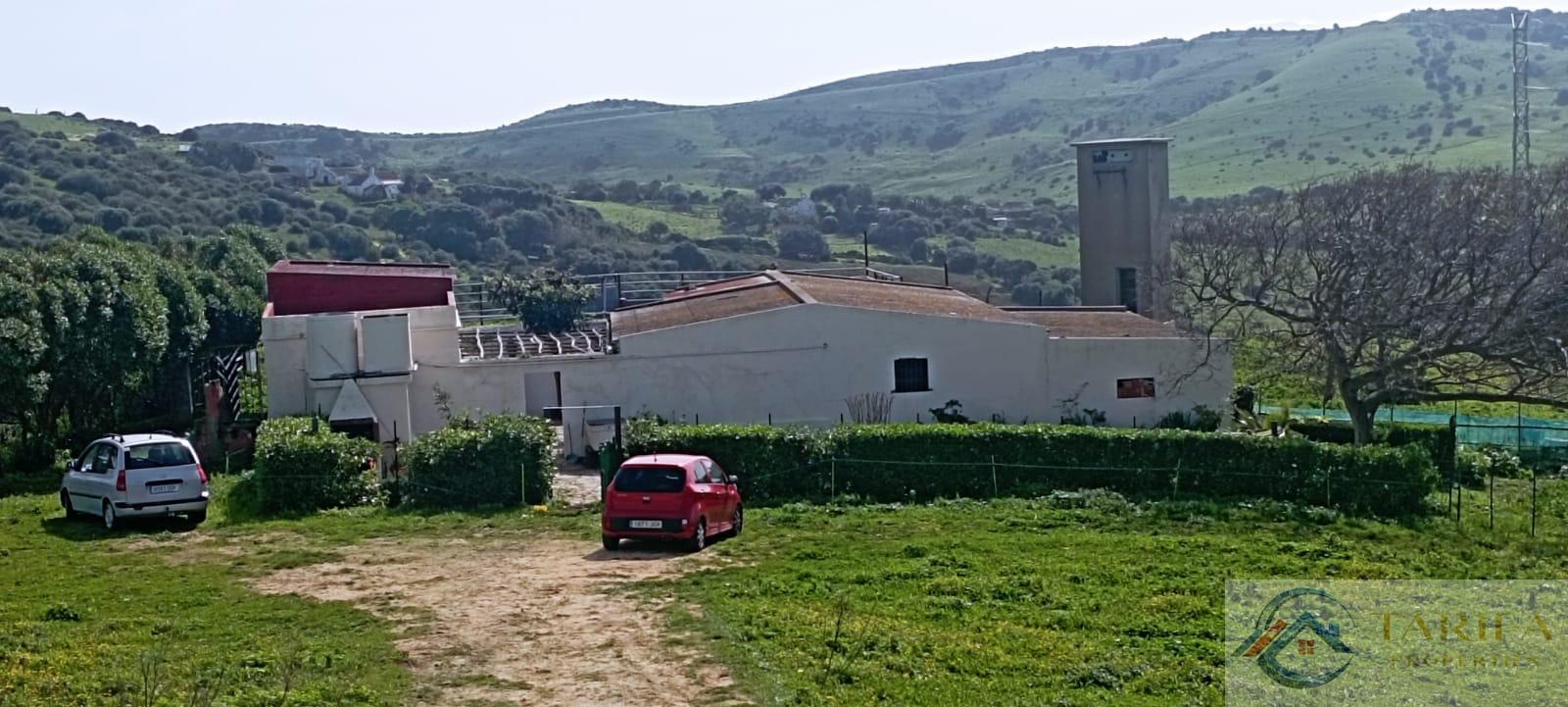 Venta de finca rústica en Tarifa