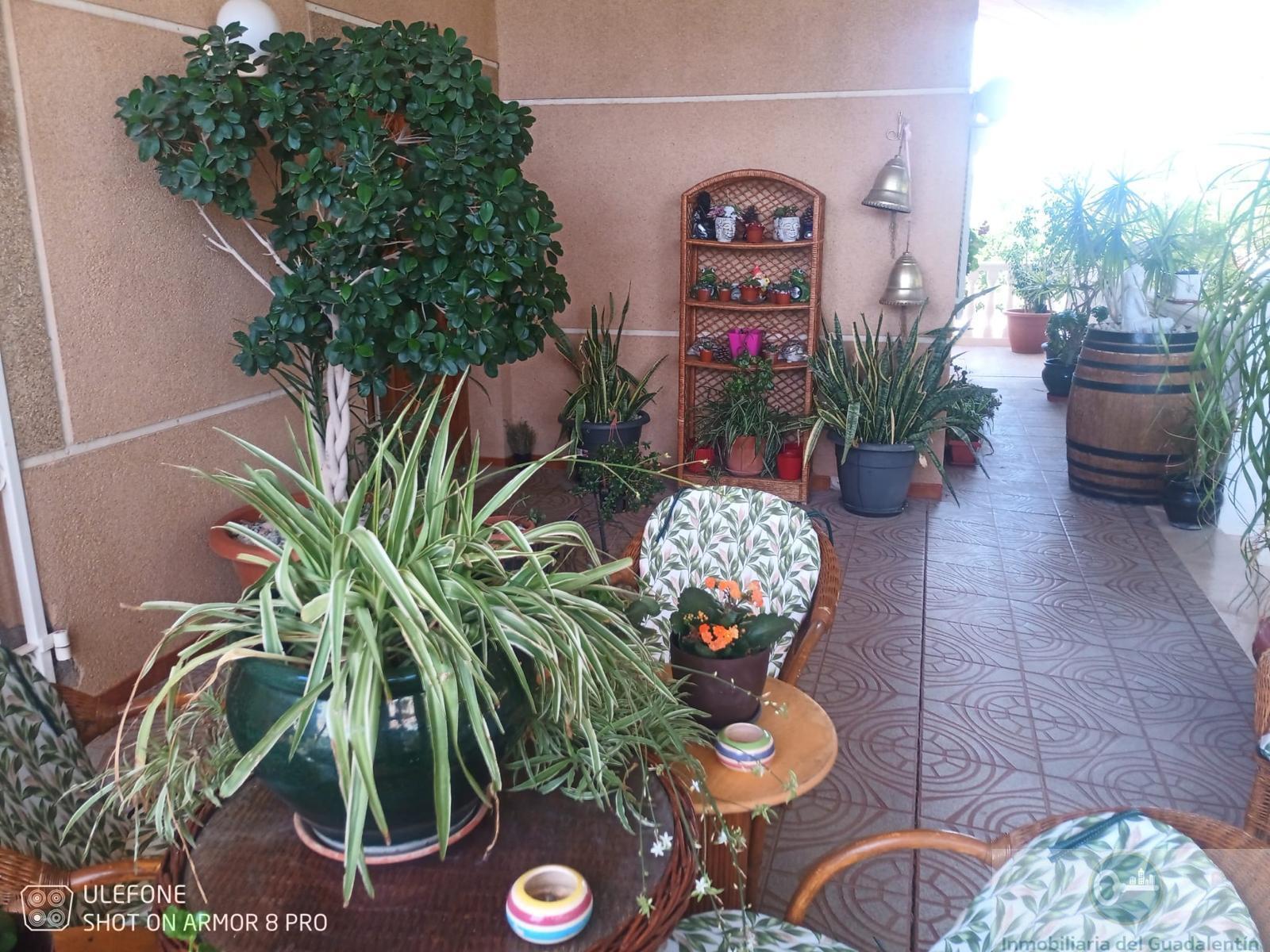 Venta de chalet en Lorca