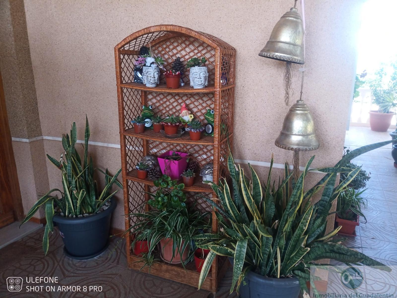 Venta de chalet en Lorca