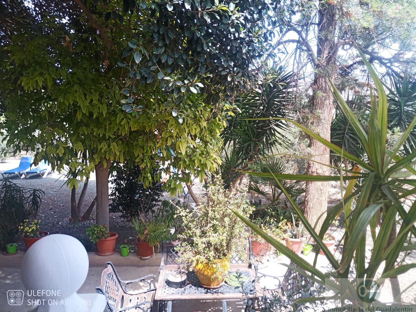 Venta de chalet en Lorca